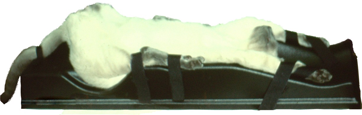 Veterinary Surgi-Form M1