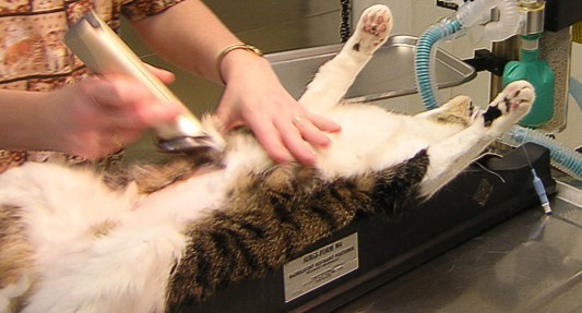 Model M3 (M4 and M5 are larger versions of M3)